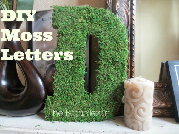 DIY Moss Letter