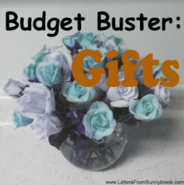Budget-Buster-Gifts-297x300