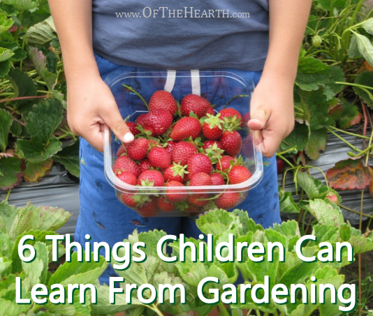 6-Things-Children-Can-Learn-From-Gardening