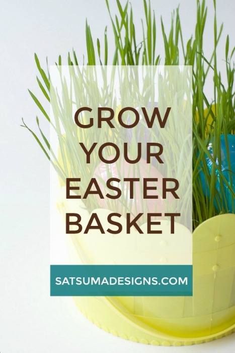 GROW_YOUR_EASTER_BASKET